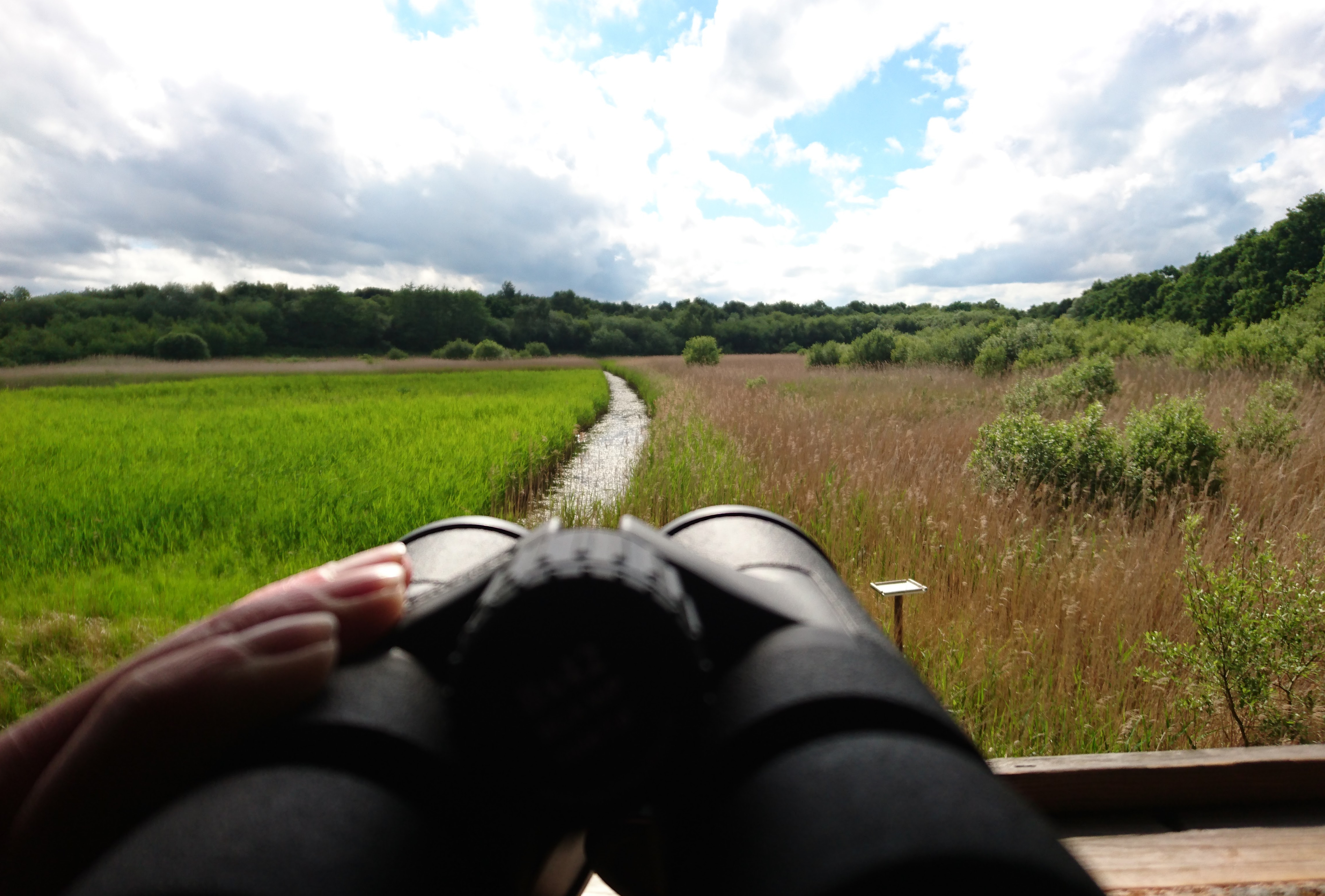 Binoculars in the hide at Potter Car Nature Reserve, Doncaster