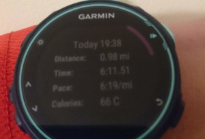 Garmin time of 6 minutes and 11 seconds