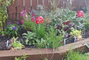 Herb garden with glass toadstools