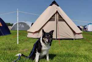Teepee tent set up for Endure24 2019 Leeds with Lance Superdog