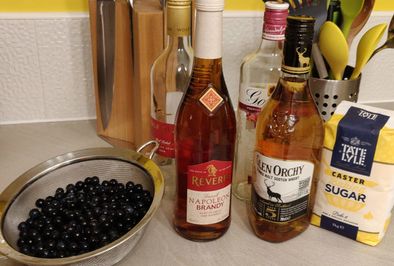 Ingredients to make sloe whiskey and sloe brandy