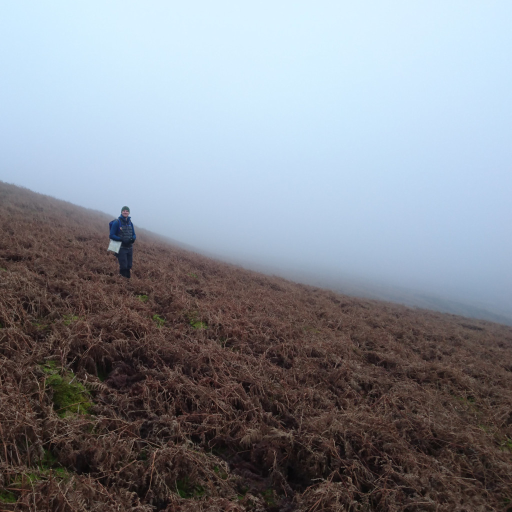 A foggy moorland slope with Kial navigating